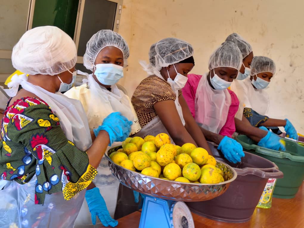 Jamilafondation's tweet photo. Nzerekore's #SPI_TGC women beneficiaries are mastering the art of crafting top-notch orange juice. Thanks to #RioTintoSimfer, the SPI-TGC project has equipped 300 women with valuable skills in agriculture and food processing.  #Empowerment #SkillsTraining @Presidence_gn https://t.co/5vlZwXVm6T