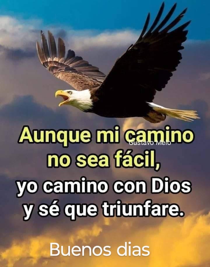 ritaruthcl_77's tweet photo. https://t.co/SiuVol9HCC