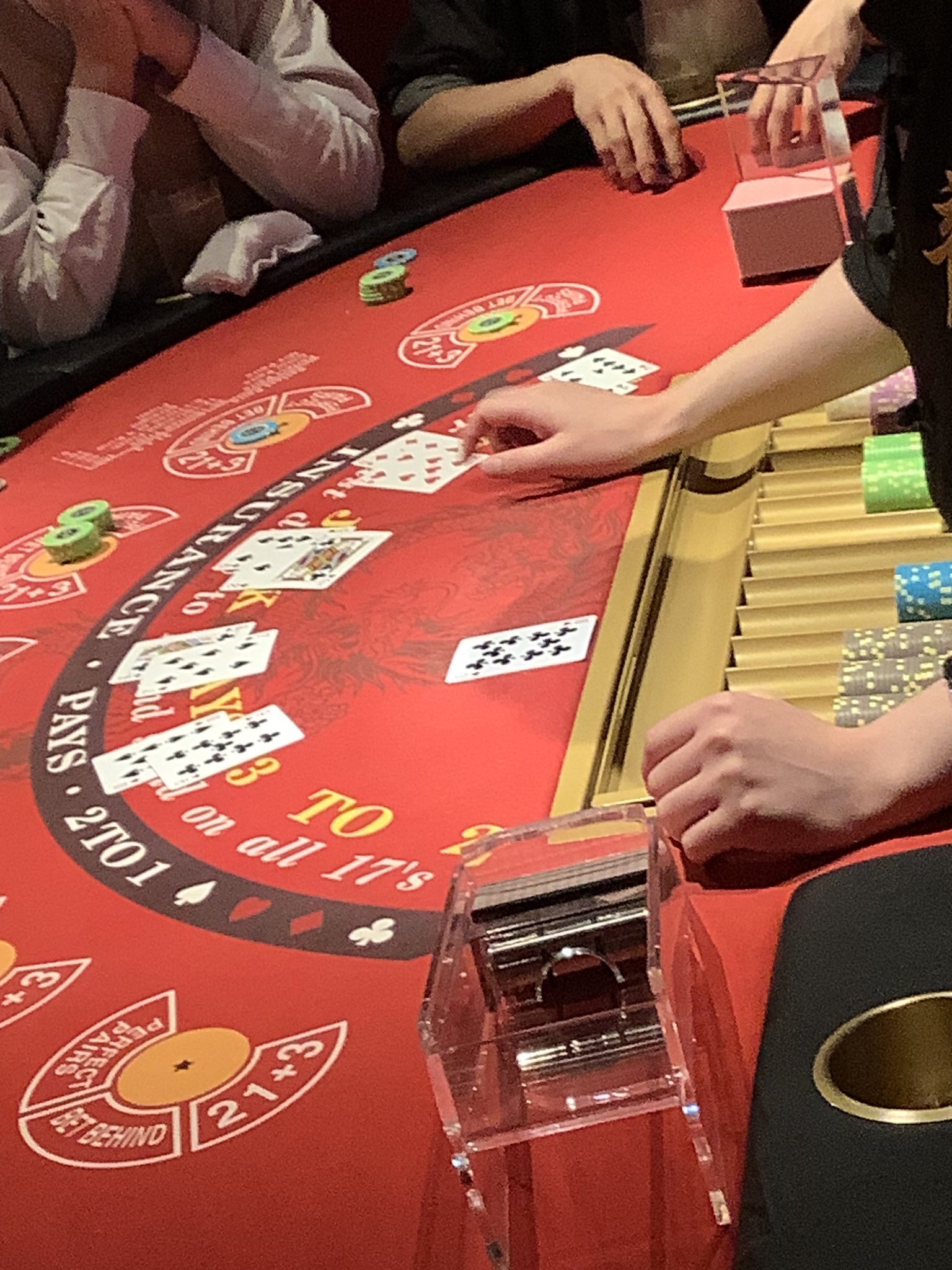 トランプとカードシューター　カジノシューター　ブラック・ジャック　カジノ トランプとカードシューター カジノシューター ブラック・ジャック