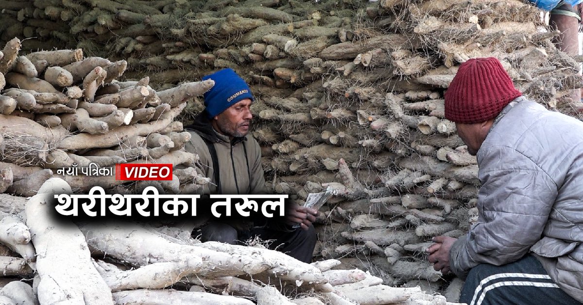 NAYA_PATRIKA's tweet photo. बजारमा थरीथरीका तरुल
- सम्बन्धित भिडियो हेर्न यो लिंक ➡️ https://t.co/xmzIGnMnIq ⬅️ क्लिक गर्नुहोस्
#tarul #maghesankranti #nayapatrika https://t.co/r63ZVfdvhN