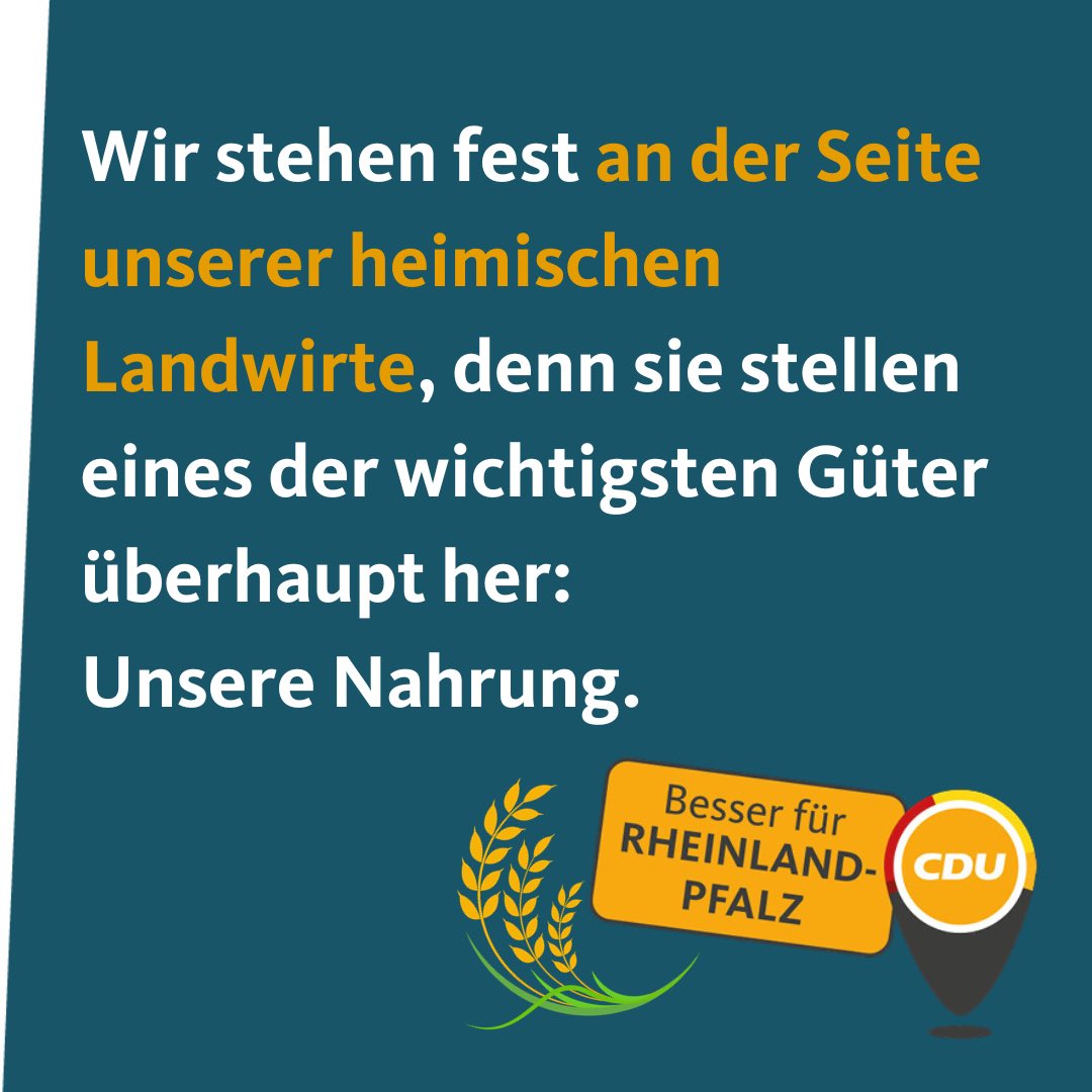 Landesvorsitzender <a href="/ChBaldauf/">Christian Baldauf</a> und der CDU-Fraktionsvorsitzende <a href="/GordonSchnieder/">Gordon Schnieder</a> verurteilen die agrarfeindlichen Maßnahmen der 🚦-Regierung und zeigen Verständnis für den aktuellen Protest. 
📲Die gemeinsame Erklärung unter: cdurlp.de/landwirtschaft/
#cdurlp #bauernproteste
