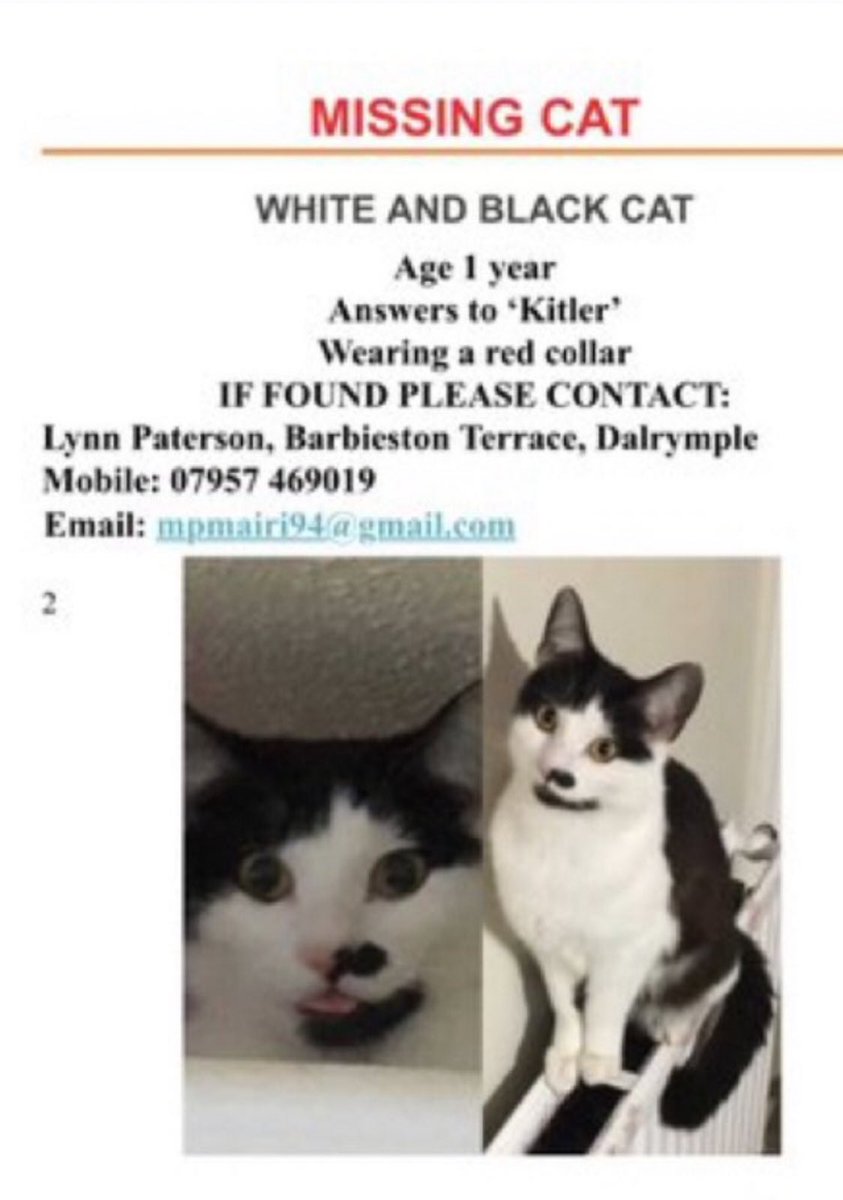 🆘 PLS #RT for this #Lost Black & White #Cat in #Dalrymple #Ayr #KA6 - Kitler is 1yo & wearing a red collar - pls check sheds & outbuildings & share poster to local @WhatsApp & @Nextdoor groups 🙏 let’s help this kitty get home to @lynnpaterson17 🐱🐱#LostCat #missing #help