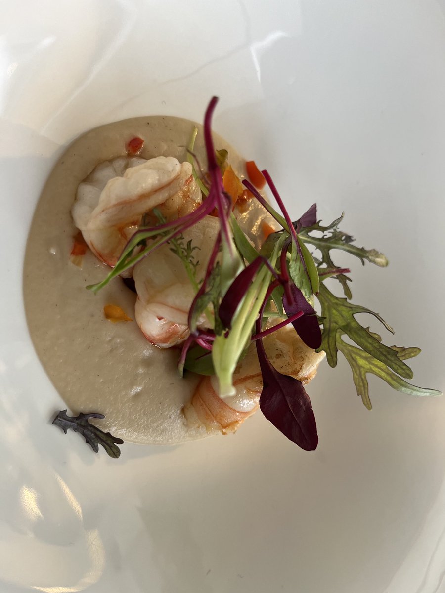 Gimmo Cuomo tweet media