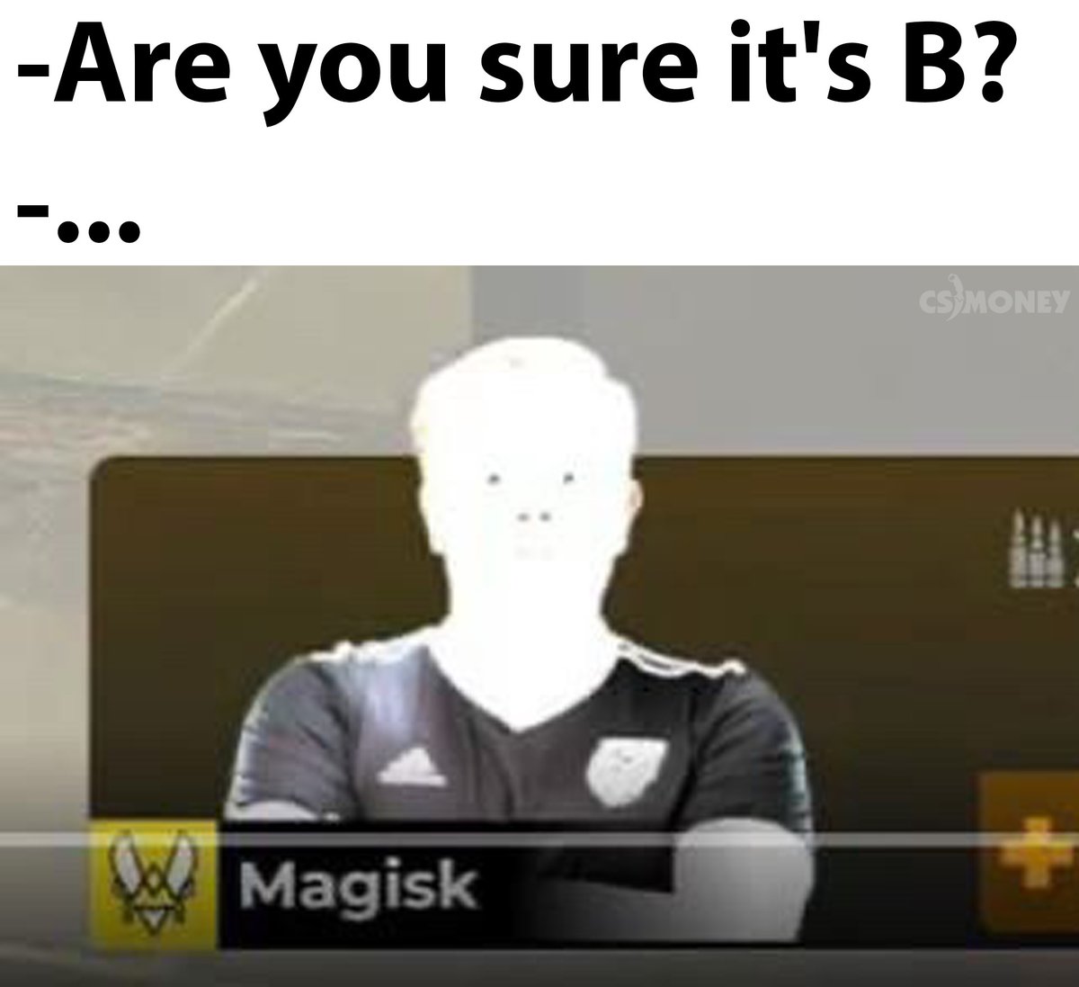 CS.MONEY tweet media