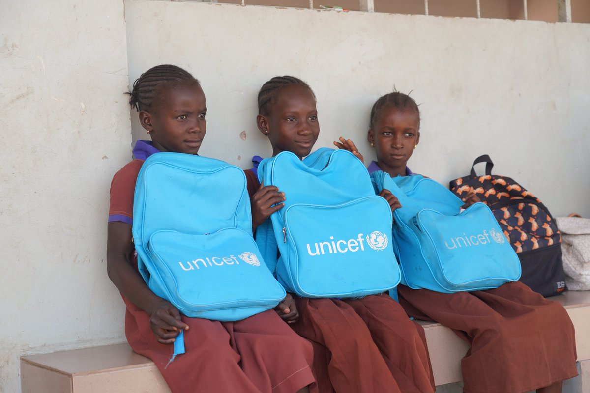 United Nations The Gambia tweet media