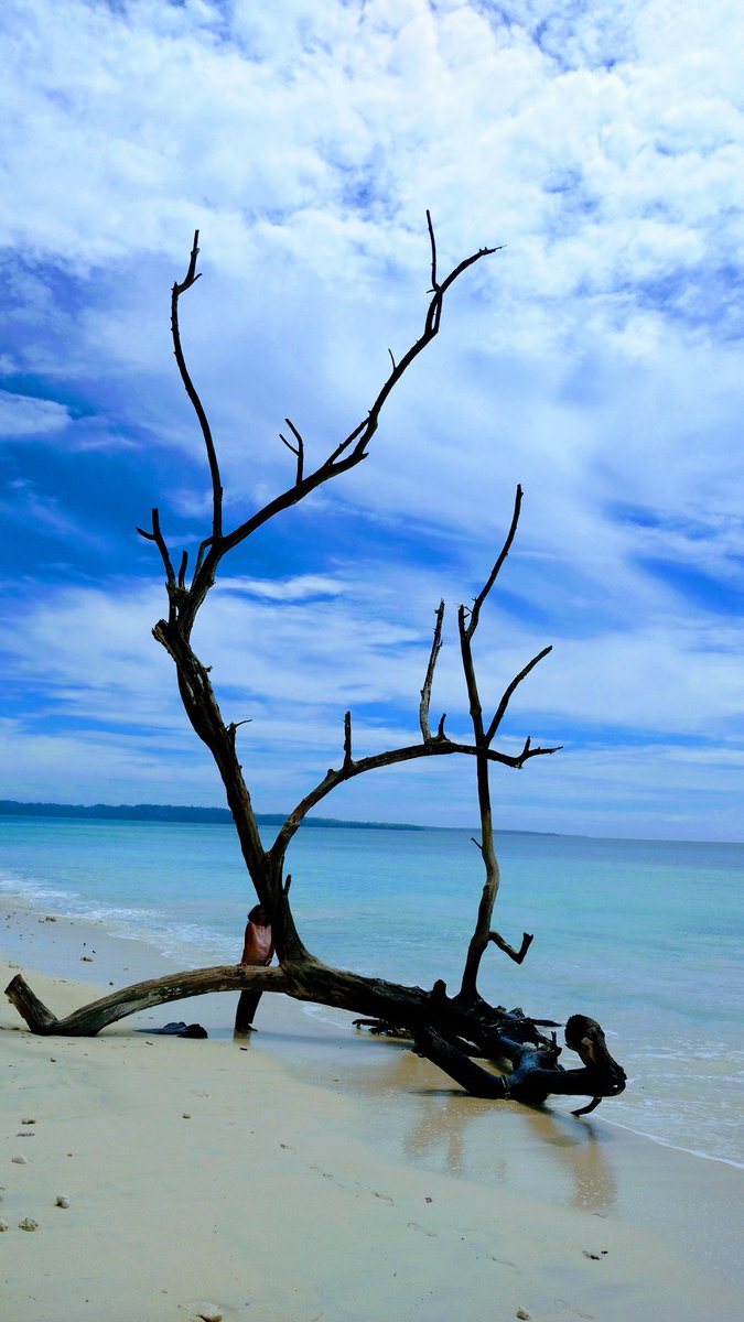 AjayPathak66's tweet photo. Indian islands are too beautiful 
#IndianIslands https://t.co/2GwyihMPtG