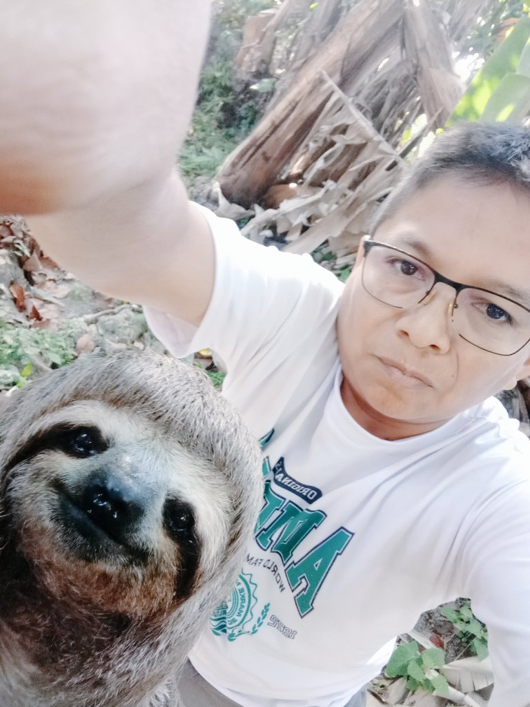 Jaime_Castro1's tweet photo. Conseguí mi selfie 😃 https://t.co/0CfYftMwXJ