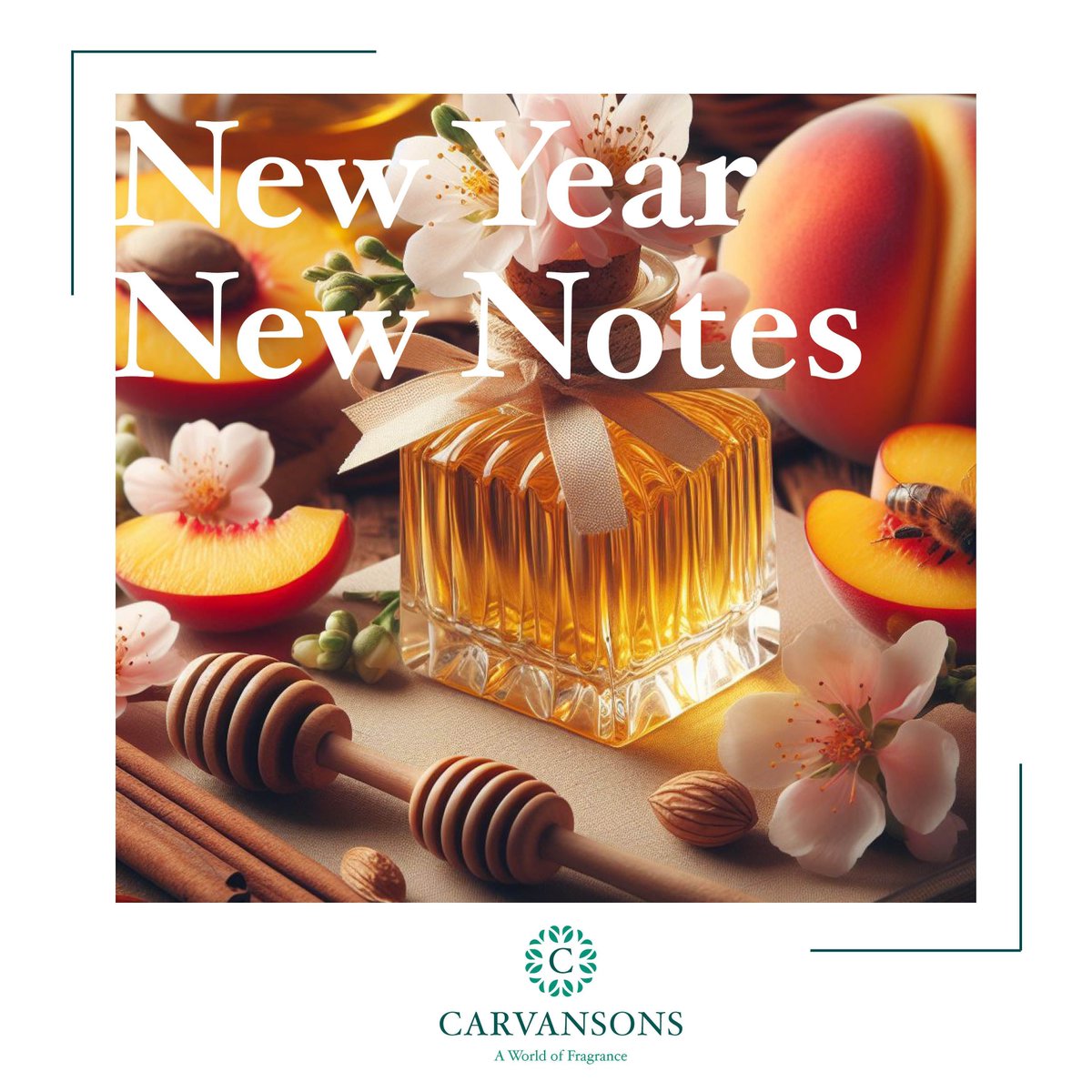 CarvansonsLtd's tweet image. Fragrance notes to watch out for in 2024!

Lavender 
Myrrh 
Freesia 
Magnolia
Honey 

#fragrancenotes #trends #fragrance #perfumery #onestowatch

Want to know the latest fragrance trends? Request a copy of our latest ebooks ---&amp;gt; buff.ly/4aqi66V