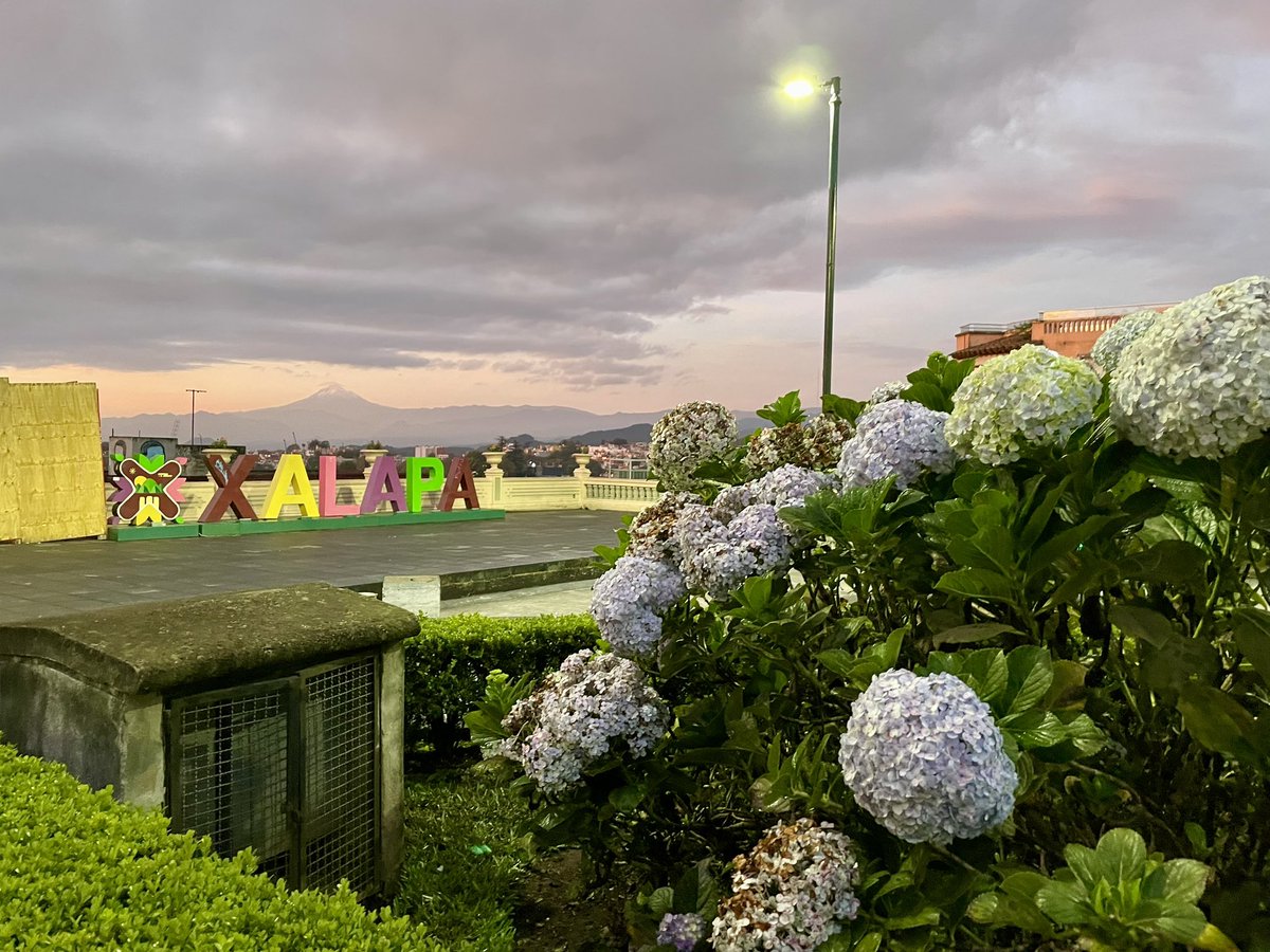 JL | Javier Landa tweet media