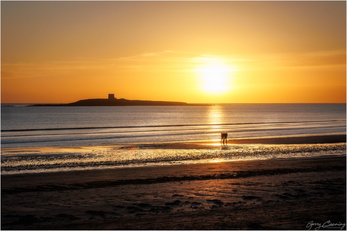 Sunrise Stroll.

Another from Skerries last week.

#skerries #beach #sunrise #sunrisephotography #irelandseastcoast #ireland   #silhouette #shenickisland #canon #canon24105