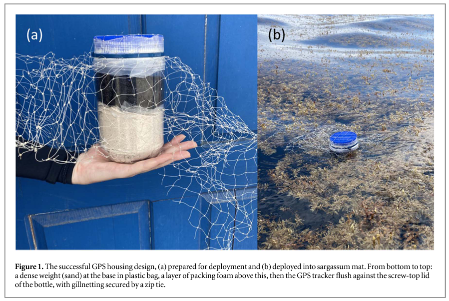SARTRAC (@sartrac1) on Twitter photo GPS tracker data facilitates reliable monitoring of #sargassum, helps to overcome satellite-based challenges, and may improve #sargassum early warning systems - finds paper by <a href="/SARTRAC1/">SARTRAC</a> <a href="/UoSGeogEnv/">Geography & Environmental Science at Southampton</a>, <a href="/unisouthampton/">University of Southampton</a>, <a href="/CERMES_UWI/">CERMES UWI</a>, <a href="/geogYanna/">Yanna Alexia Fidai 🌍</a>. Paper here: iopscience.iop.org/article/10.108… GPS tracker data facilitates reliable monitoring of #sargassum, helps to overcome satellite-based challenges, and may improve #sargassum early warning systems - finds paper by <a href="/SARTRAC1/">SARTRAC</a> <a href="/UoSGeogEnv/">Geography & Environmental Science at Southampton</a>, <a href="/unisouthampton/">University of Southampton</a>, <a href="/CERMES_UWI/">CERMES UWI</a>, <a href="/geogYanna/">Yanna Alexia Fidai 🌍</a>. Paper here: iopscience.iop.org/article/10.108…