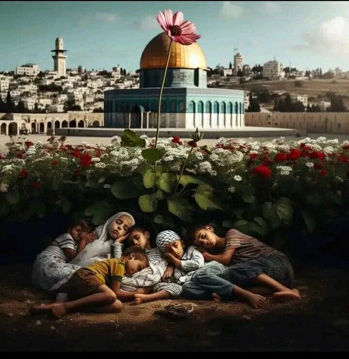 7mtx1's tweet photo. في ذِمَّةِ اللهِ ما ألقَى وما أجِدُ 
أهذِهِ صَخرةٌ أمْ هذِه كبِدُ؟ 

#افتحوا_معبر_رفح
#فلسطين_المحتلة 
#فلسطين_حرة https://t.co/9ashT6gvCC