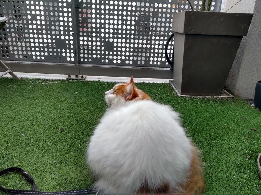 SHErlock 🔎🎀 🍋 ☃️ tweet media