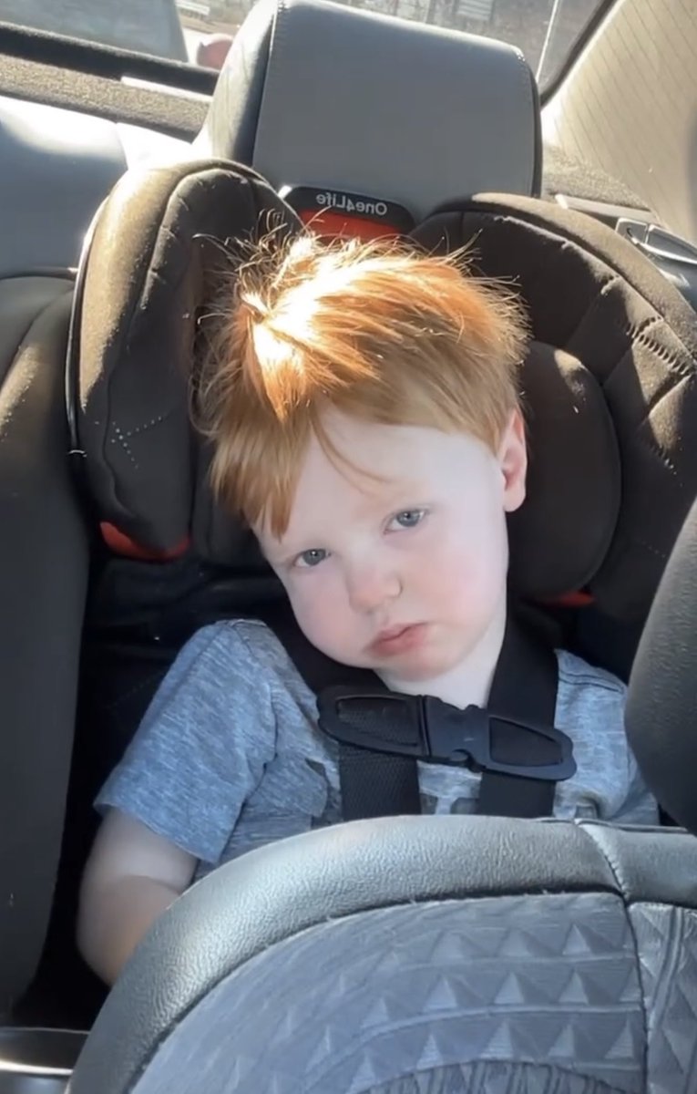 cherylbaldeagle's tweet photo. You resist this poor pitiful face that really to go to Buccee’s. Nope. Turned around went back 20 miles then continued on. @PamNCBennett #grandson #redhead #Buccee #roadtrip https://t.co/OC3qxx1aj6