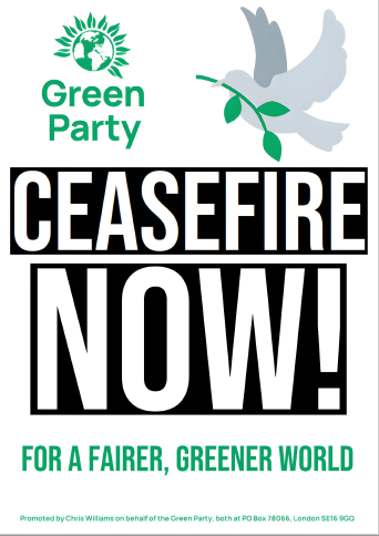 .@TheGreenParty's Campaigns Committee has created some resources for Greens on upcoming #CeasefireNow #Gaza protests, including meeting points for Greens & this placard/poster you can print off, here: drive.google.com/file/d/1VzzrQj… Please do share!
