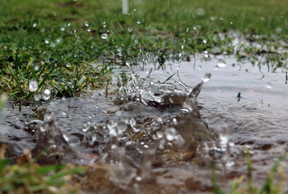 If your garden's been flooded or is waterlogged, here are some tips on how to allow it to recover - and prevent further damage. #gardening #flooding #climatechange #waterlogging mandycanudigit.com/garden-problem…