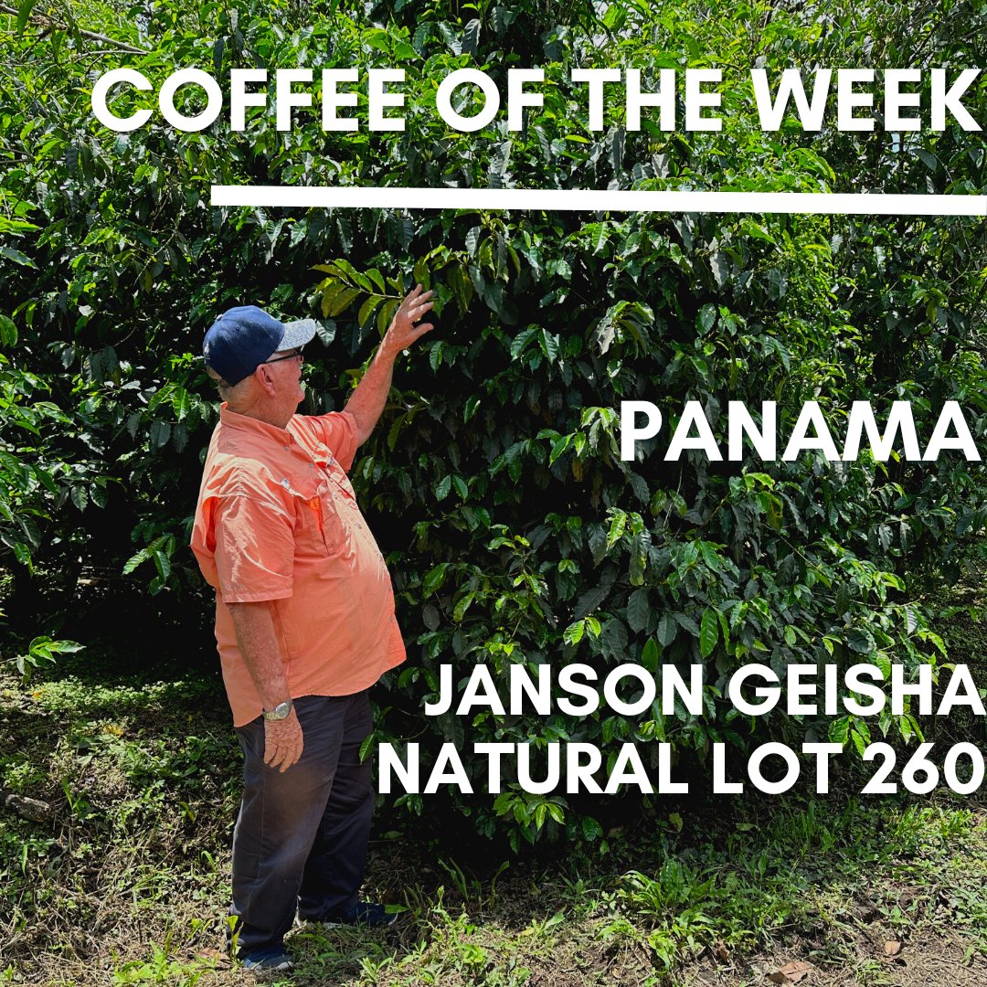 Roastmasters.com tweet media