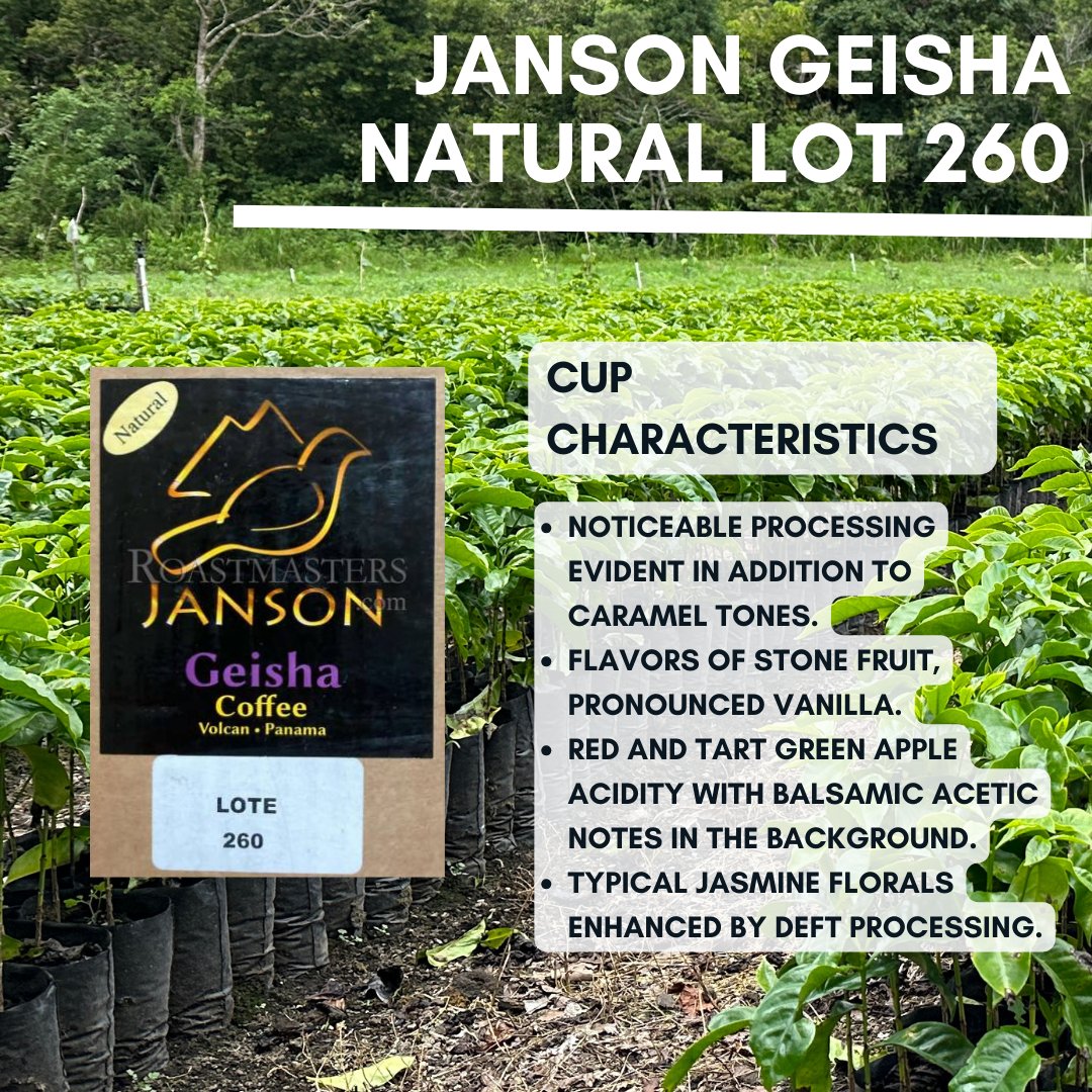 Roastmasters.com tweet media