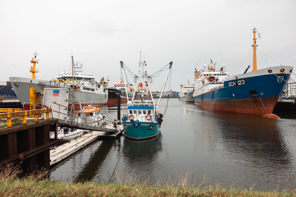 SussexDolphin's tweet photo. The #DolphinsArentDiscard team, and our friends at @Seasaver, took advantage of the seasonal halt in #supertrawler activity to monitor the fleet offloading and preparing to return to sea at their home port in the Netherlands 🇳🇱 🧵 https://t.co/YPXAAGNjcb