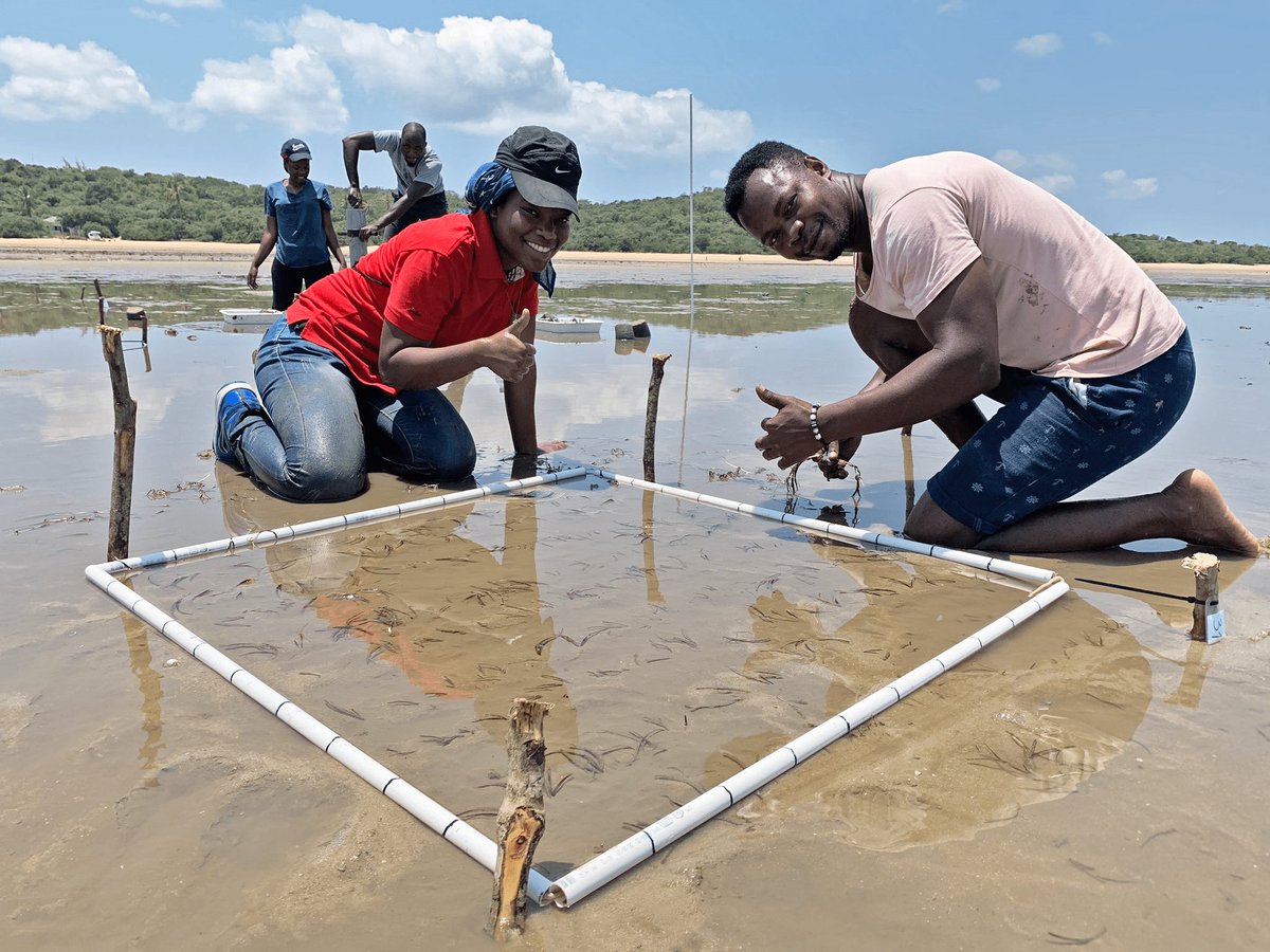 Apply for the WIOMSA SCALABLE Grant Opportunity. 🌍

This program is designed to enhance the availability of top-tier science and policy in the Western Indian Ocean.🌊
