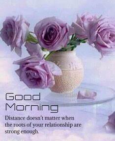 FDanishmandi's tweet photo. صبح الخیر https://t.co/BlNwQ9s3TJ