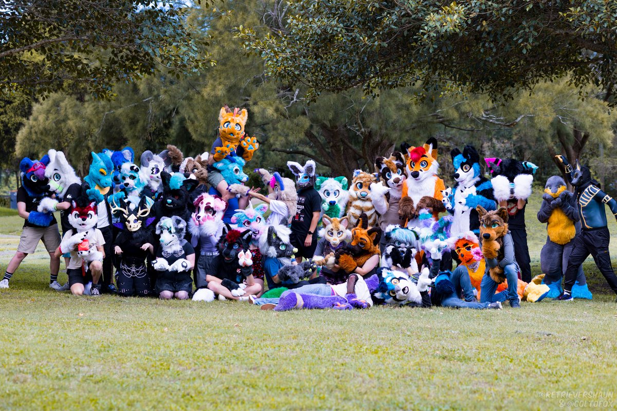 astralembers18's tweet photo. Doggy and his cat (@_CosmicSoup_ ) and all their friends!!
-
-
📸: @coltofox (1-3)
      @pplaguedd (4) https://t.co/m0CD0C57kF