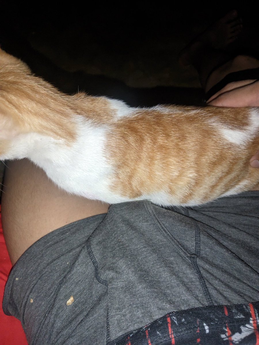 suckjaxx's tweet photo. lick it https://t.co/3eKPM6zL1g