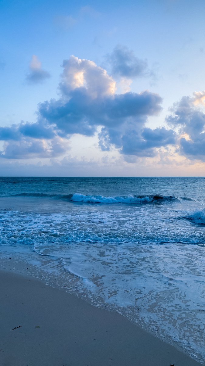 Aztamami's tweet photo. لا يؤنِسُ الروحَ إلا روحّ تألفها🌊 https://t.co/gjVeBsyQ9X