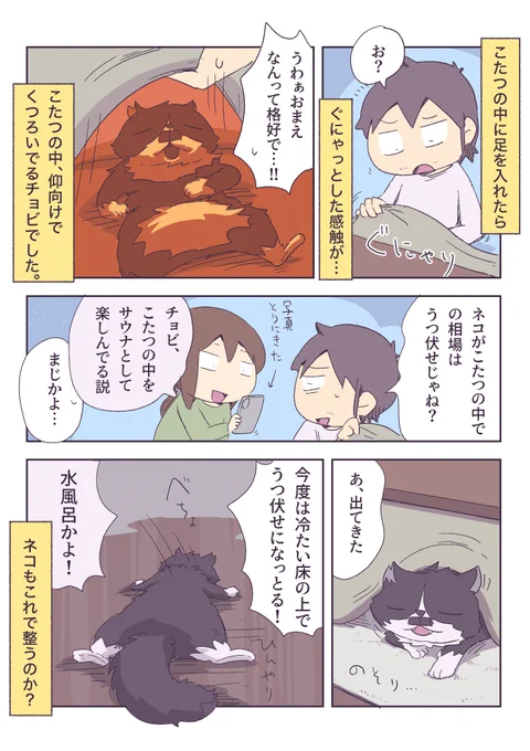 サウナネコ 
