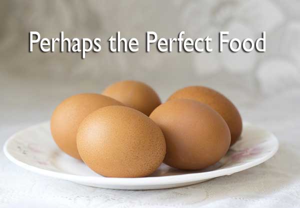 DinnerPlanner's tweet photo. We think eggs are the perfect food ...   https://t.co/IJuU7TgYrK https://t.co/or44aPJSI8