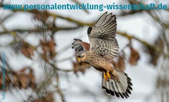 Jetzt online – Ausgabe 5|2023 zur #Personalentwicklung in Hochschule und #Wissenschaft:
Fakultäts-/Fachbereichsleitung, Hinweisgeberschutzgesetz, Sichtbarkeitsstrategien für Wissenschaftlerinnen, Generative KI, virtuelle Zusammenarbeit: personalentwicklung-wissenschaft.de