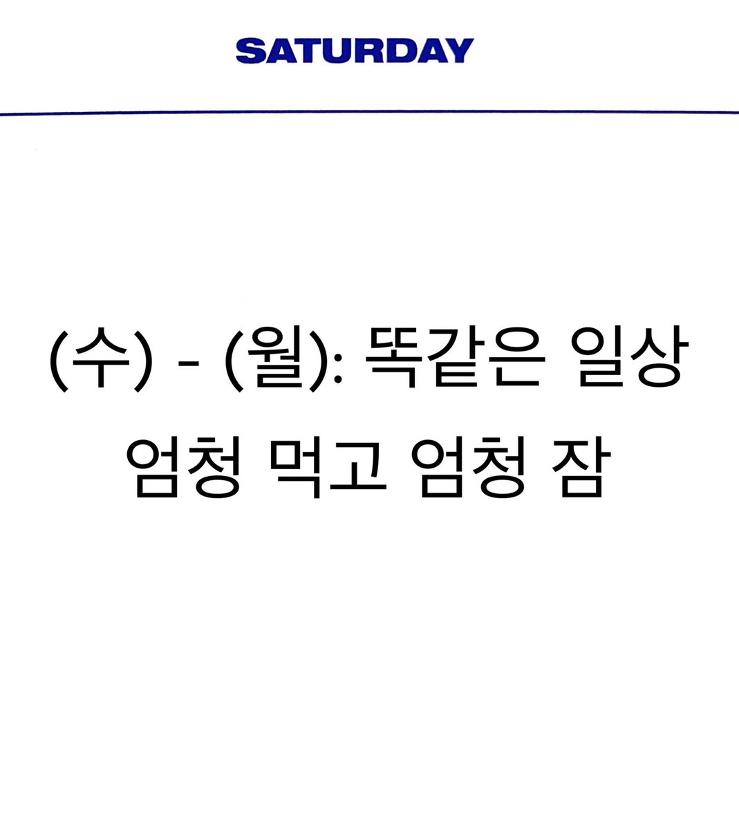 마복필 tweet media