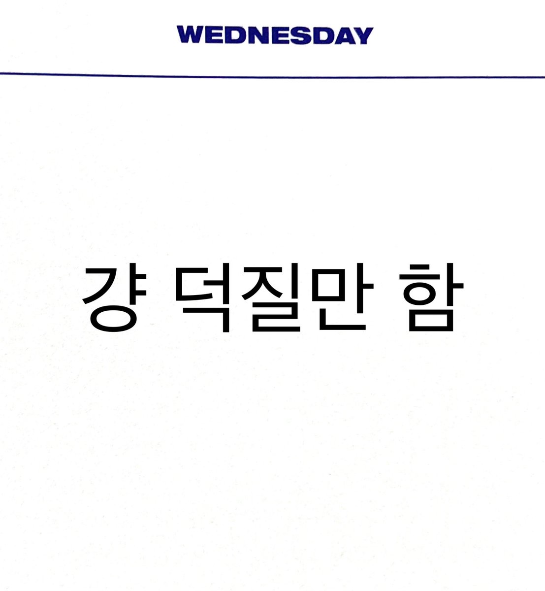 마복필 tweet media