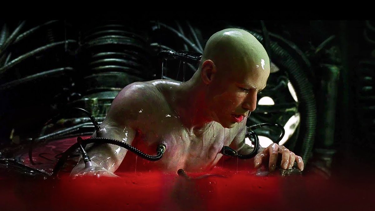 tony_magoni's tweet image. no neo, don't do it, stay in the matrix