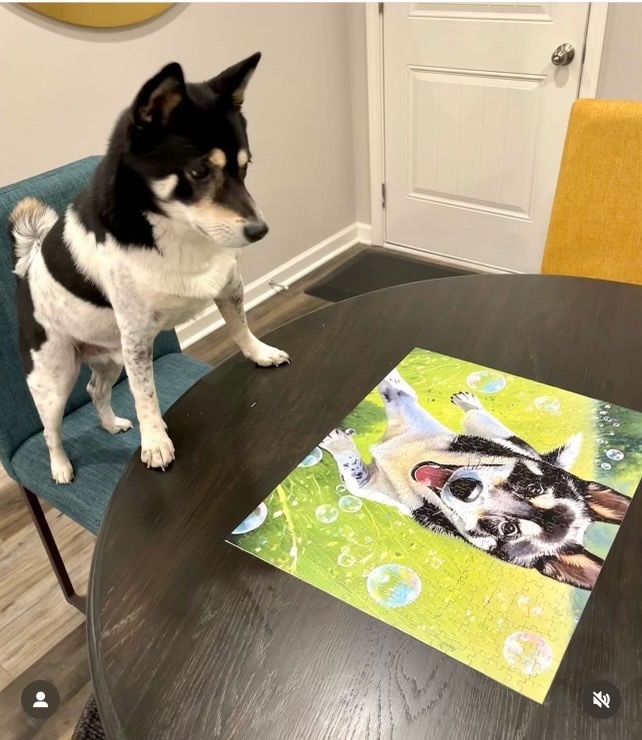 PugMug jigsaw puzzles make the perfect activity for cold, snowy winter days 🧩❄️

Check out this amazing photo from one of our customers!
#pugmugai #petart #petpuzzles #jigsawpuzzles