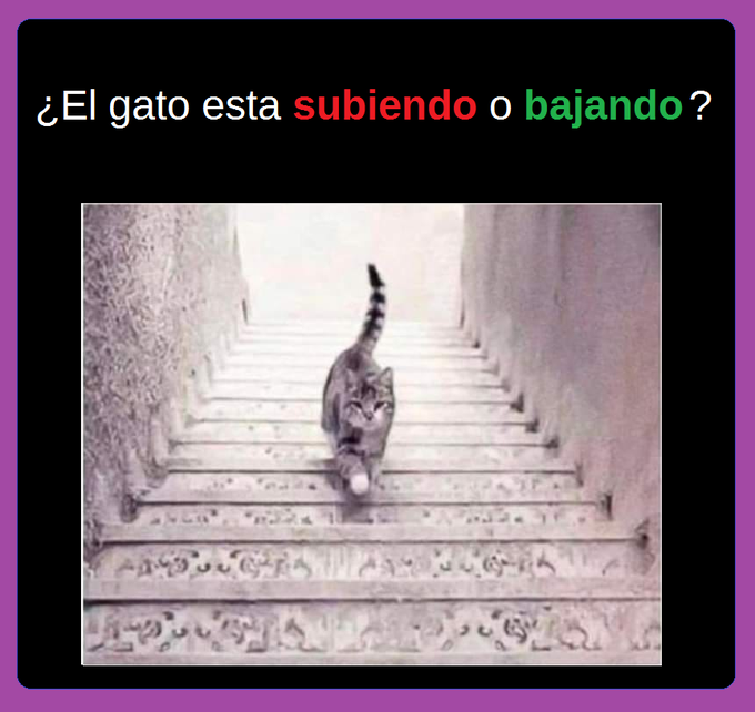 Dr. Alberto Blázquez tweet media