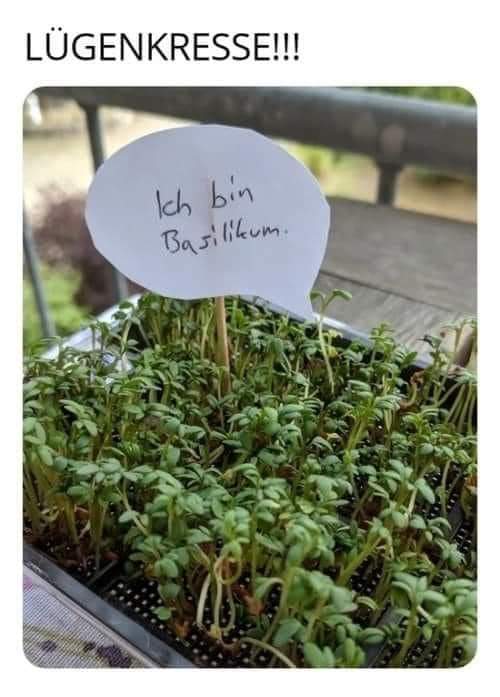 😂 😂 😂 😂 😂