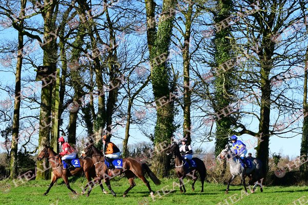 WJHJT's tweet photo. See all the action from BALLINDENISK PTP including a Declan Queally Treble in the Gallery at https://t.co/WVGit3x911 https://t.co/Yhslgsa9zj