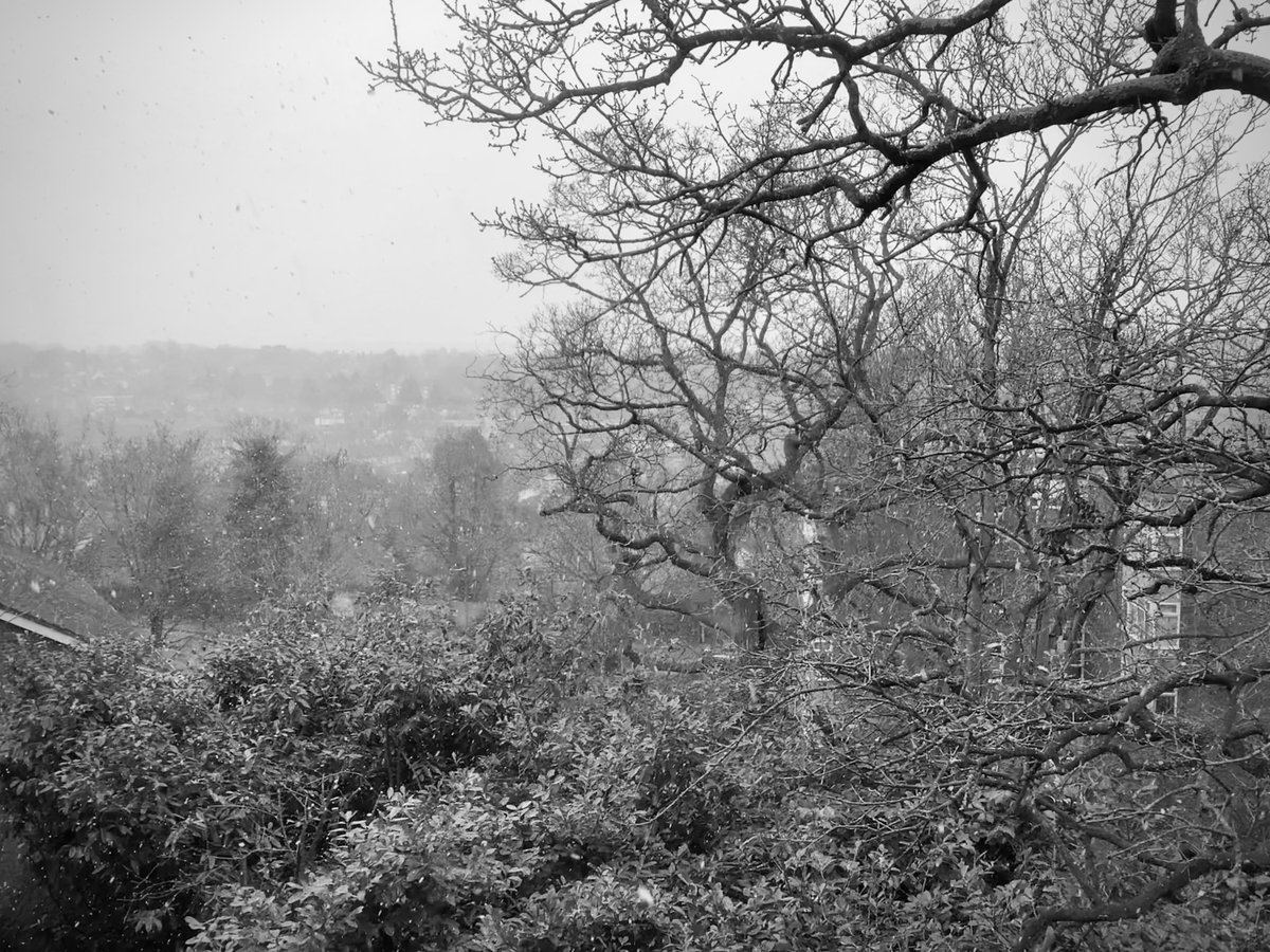 skylark22BHC1's tweet photo. Brrrrr, where did that come from? 🌨️⛷️#bromley #theviewfrommywindow #snow #monday #loveukweather @metoffice @bbcweather @itvweather @SallyWeather @ChrisPage90 https://t.co/WGWCcQcVwa