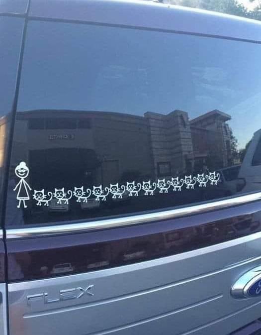 meu futuro carro: