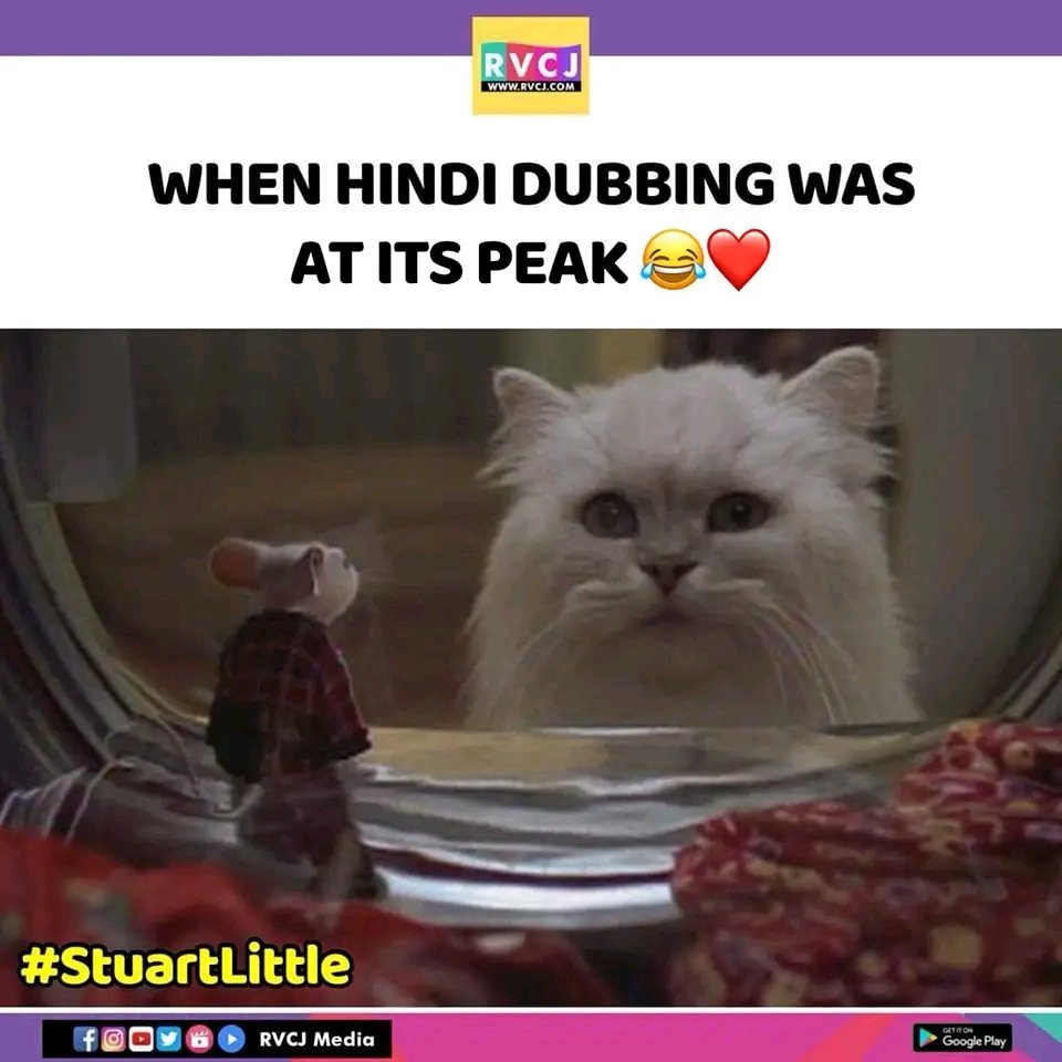 rvcjmovies's tweet image. Stuart Little

#rvcjmovies #rvcj #stuartlittle