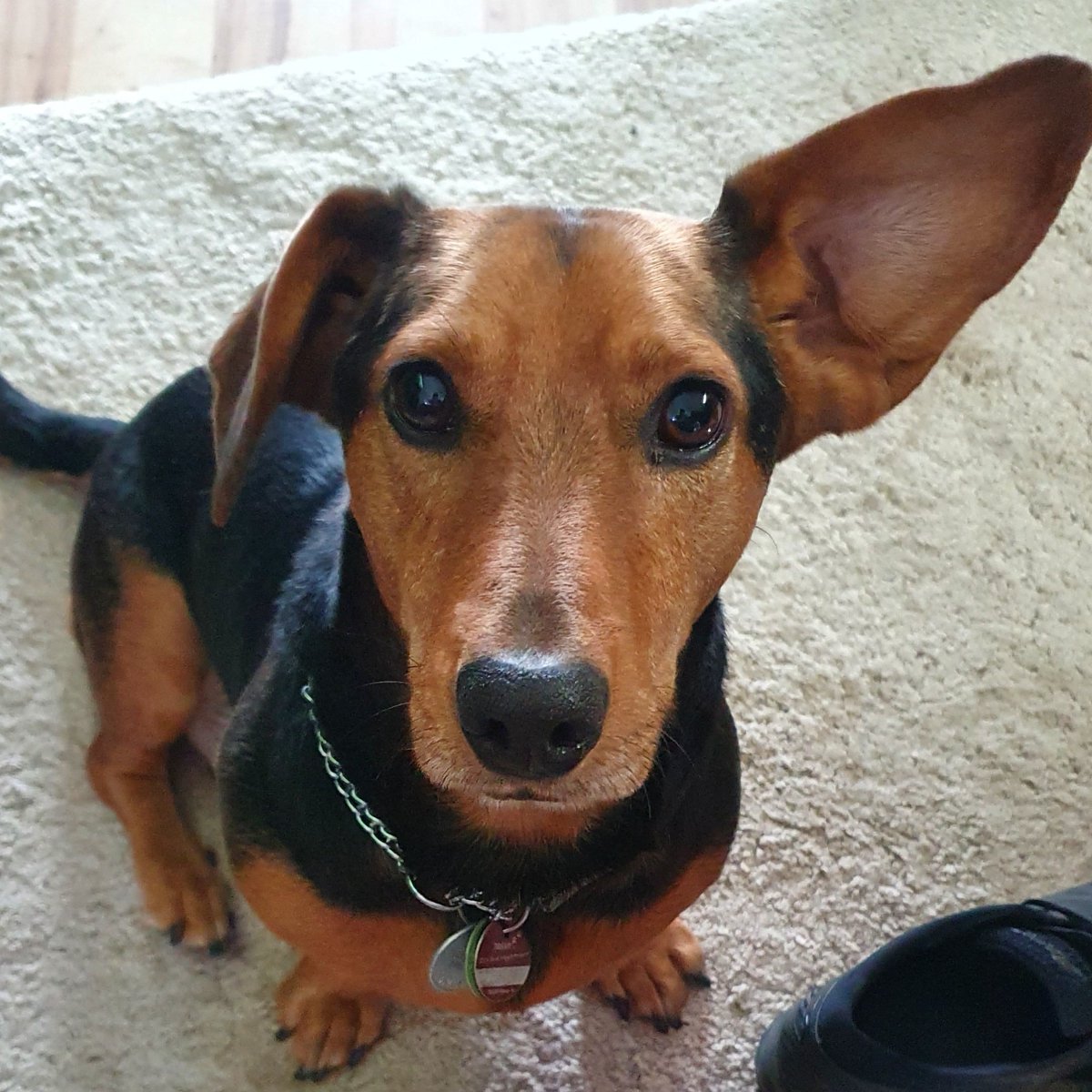 Resi La Ceroni 🇩🇪🇭🇷🇺🇦 tweet media