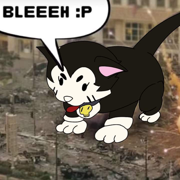 AlexZzz🤍 tweet media