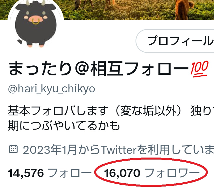 フォロワ様が1⃣6⃣0⃣0⃣0⃣を超えました。
1.6万垢達成です。

本当に本当に
フォロワ様ありがとうございます。
すごく嬉しいです。

#フォロバ100
#相互フォロー募集中