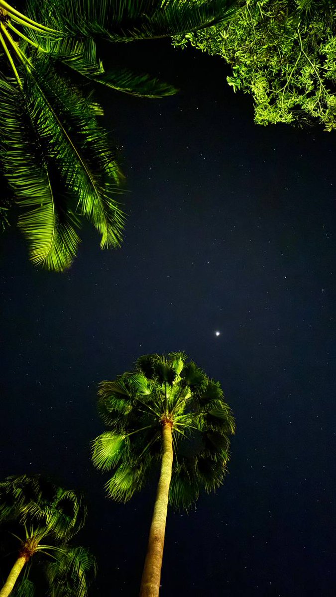 Finally, after so many years of hard work, after so many years of unfair treatment (although he never complained, but worked hard) Kyu gets what he should have gotten a long time ago! Sparkle brightly! That's what you deserve~
P.S. By the way, Jupiter is in the photo 😂