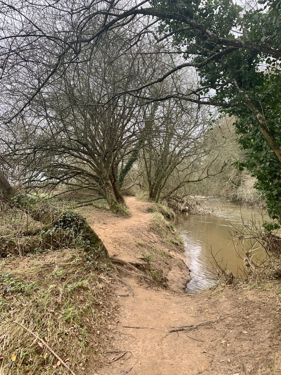 JBPhotos_UK's tweet photo. … ‘It’s a tree- thing! …
#trees #treeporn #countryside #outdoors https://t.co/Gnmi8jpnkz