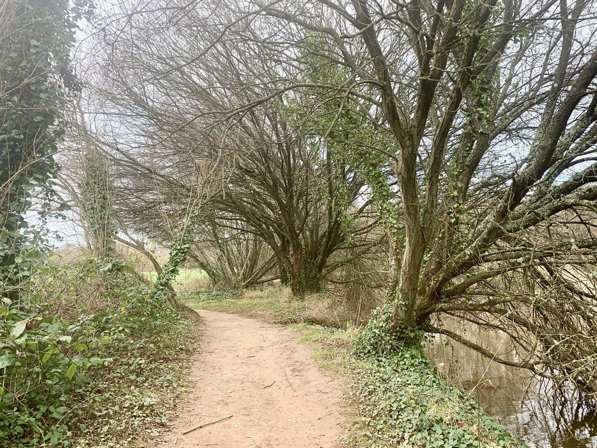 JBPhotos_UK's tweet photo. … ‘It’s a tree- thing! …
#trees #treeporn #countryside #outdoors https://t.co/Gnmi8jpnkz