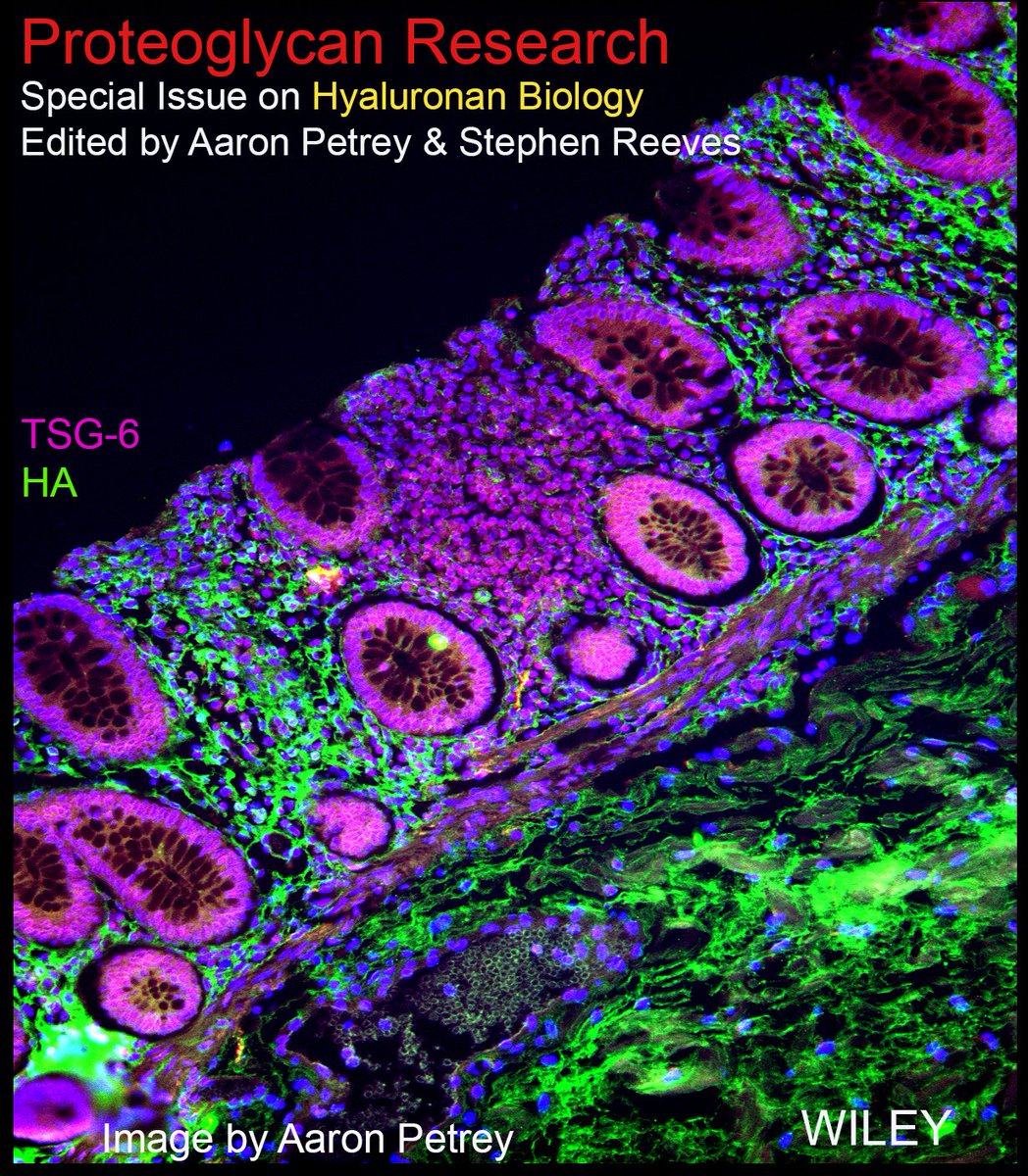 iozzo_v's tweet photo. Dear Hyaluronan lovers,
We are launching a Special Issue on Hyaluronan Biology lead by Aaron Petrey: aaron.petrey@u2m2.utah.edu & Stephen Reeves: stephen.reeves@seattlechildrens.org. We aim to publish Research Articles, Brief Reports & Minireviews to be submitted by 6/30/24.