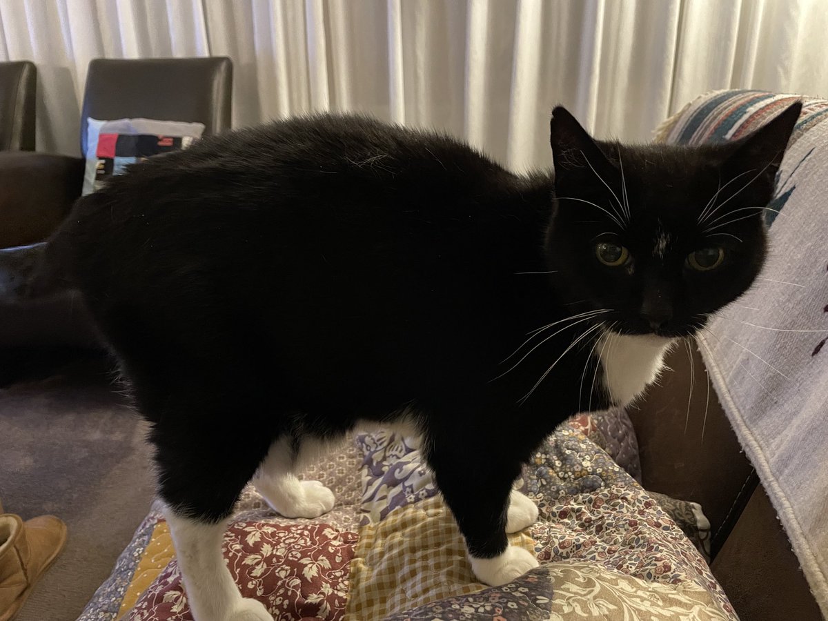 Jootjedekat's tweet photo. Ik doe dus alleen voor snoepjes. 10 seconden is al te lang. #opschoot https://t.co/LiqYQISVM7