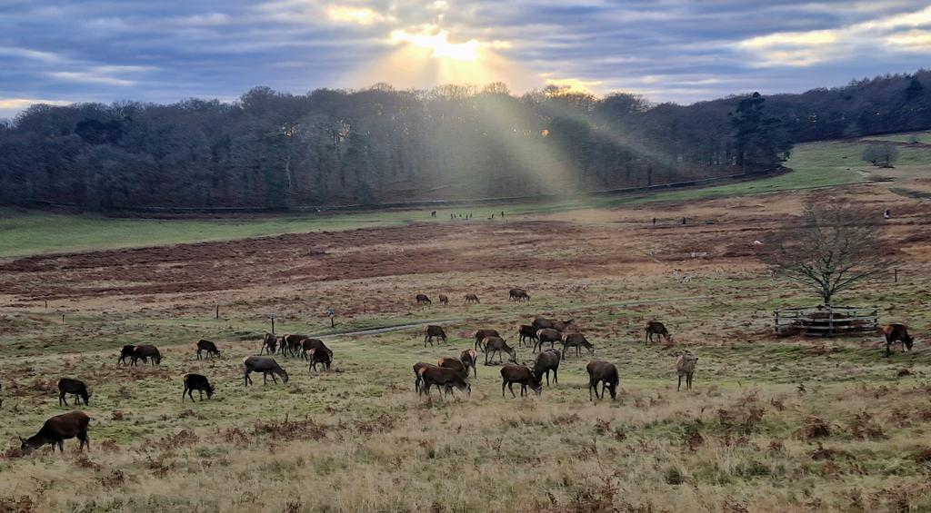 claire_l_jarvis's tweet photo. Lovely end to the annual leave @BradgatePark Even the sun gave an appearance! #favouriteplace #nature #getmeoutside #breathe https://t.co/Tu8vVtIJpa